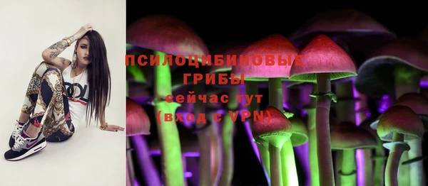 а пвп мука Алексин