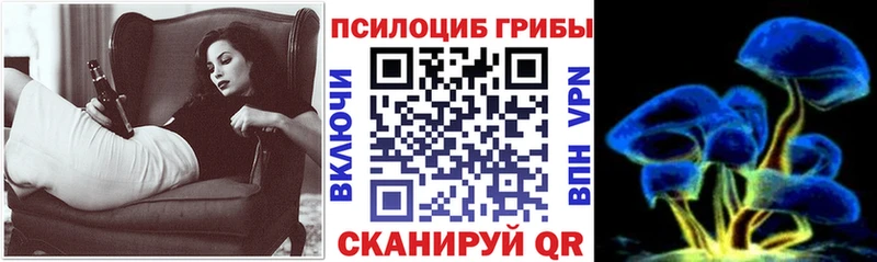 сайты даркнета телеграм  Ейск  Галлюциногенные грибы Psilocybe 