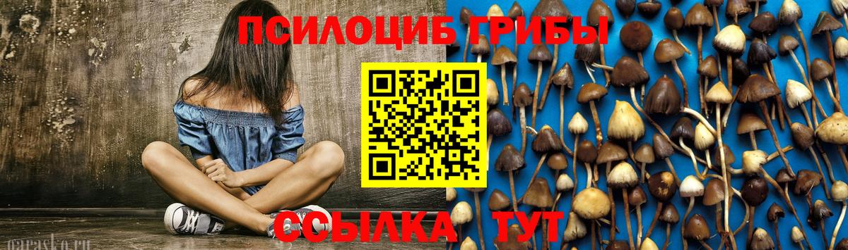 Галлюциногенные грибы мицелий  Галлюциногенные грибы MAGIC MUSHROOMS  Ейск  Вход с VPN 